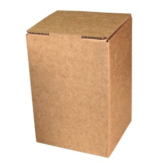 Cartons Bag-in-Box 10 litres