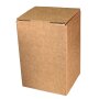 Cartons Bag-in-Box 10 litres