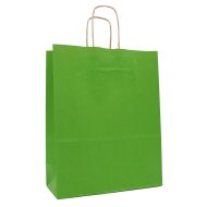 Paper carrier bags 180x80x220 mm|ribbed|green