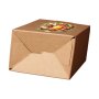 Cartons Bag-in-Box 1.5 liter - print motif apple